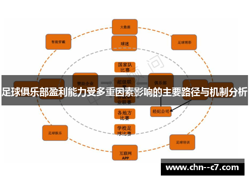 足球俱乐部盈利能力受多重因素影响的主要路径与机制分析