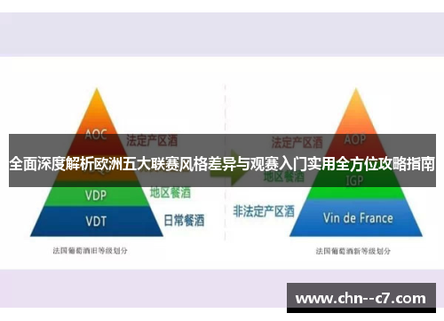 全面深度解析欧洲五大联赛风格差异与观赛入门实用全方位攻略指南