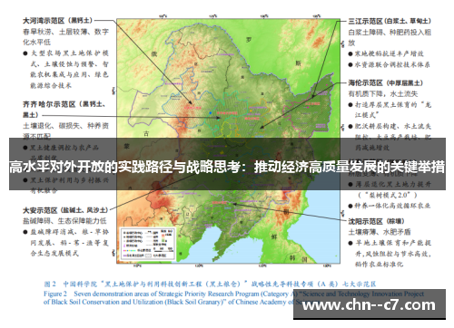 高水平对外开放的实践路径与战略思考：推动经济高质量发展的关键举措