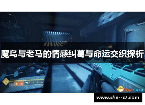 魔鸟与老马的情感纠葛与命运交织探析 魔鸟与老马的情感纠葛与命运交织探析