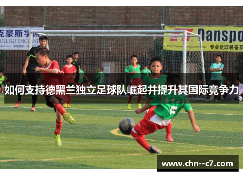 如何支持德黑兰独立足球队崛起并提升其国际竞争力