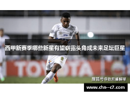 西甲新赛季哪些新星有望崭露头角成未来足坛巨星